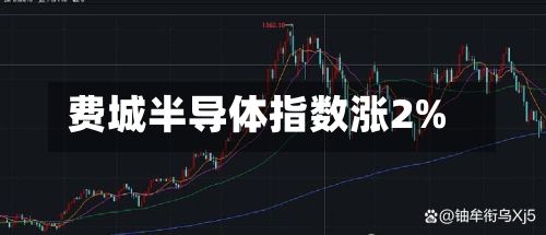 费城半导体指数涨2%-第1张图片