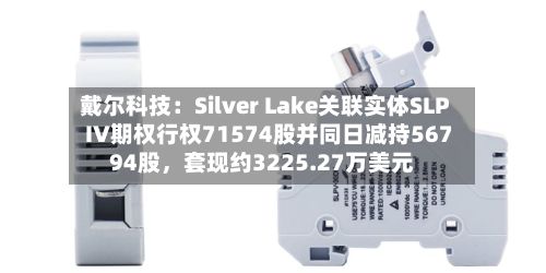 戴尔科技：Silver Lake关联实体SLP IV期权行权71574股并同日减持56794股，套现约3225.27万美元-第1张图片