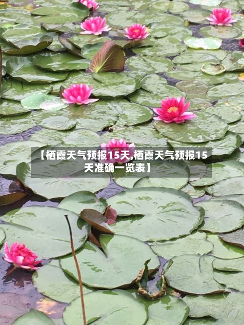 【栖霞天气预报15天,栖霞天气预报15天准确一览表】-第1张图片