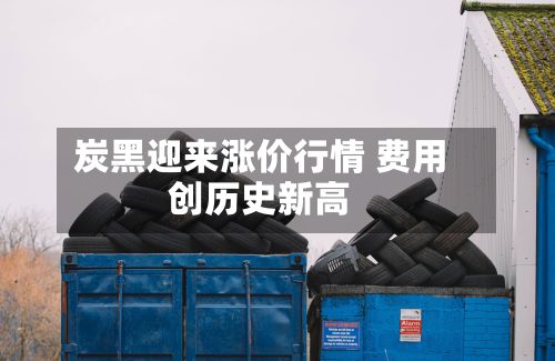 炭黑迎来涨价行情 费用
创历史新高-第1张图片