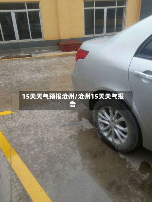 15天天气预报沧州/沧州15天天气报告-第1张图片