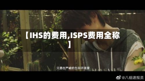【IHS的费用,ISPS费用全称】-第1张图片