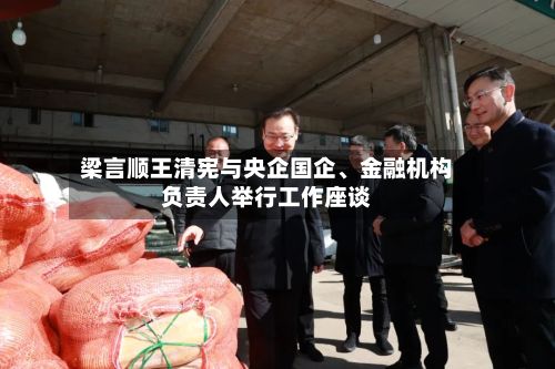 梁言顺王清宪与央企国企、金融机构负责人举行工作座谈-第1张图片