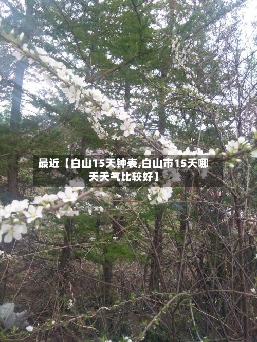 最近【白山15天钟表,白山市15天哪天天气比较好】-第1张图片