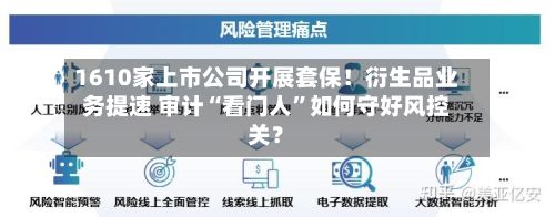 1610家上市公司开展套保！衍生品业务提速 审计“看门人	”如何守好风控关？-第1张图片