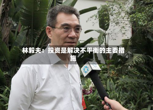 林毅夫:投资是解决不平衡的主要措施-第1张图片