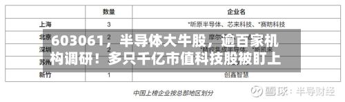 603061	，半导体大牛股，逾百家机构调研！多只千亿市值科技股被盯上-第1张图片