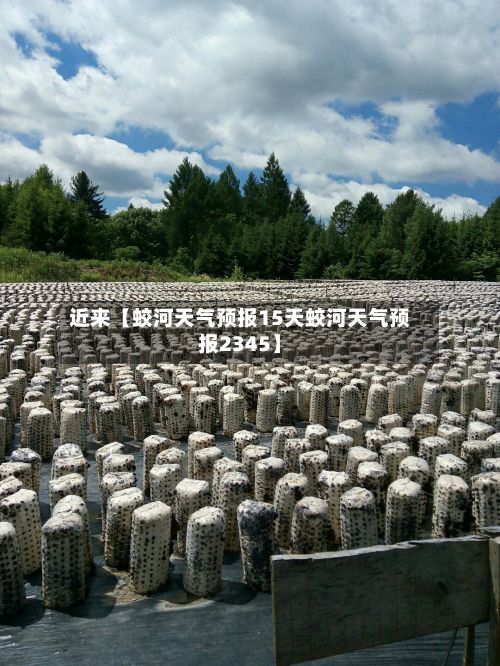 近来【蛟河天气预报15天蛟河天气预报2345】-第1张图片