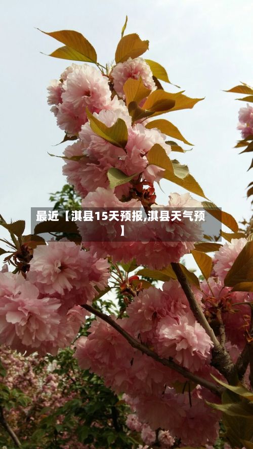 最近【淇县15天预报,淇县天气预】-第1张图片