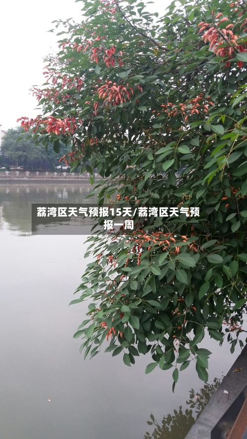 荔湾区天气预报15天/荔湾区天气预报一周-第1张图片