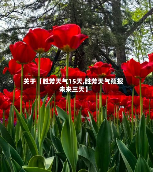 关于【胜芳天气15天,胜芳天气预报未来三天】-第1张图片