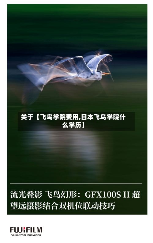 关于【飞鸟学院费用,日本飞鸟学院什么学历】-第1张图片