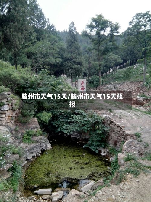 滕州市天气15天/滕州市天气15天预报-第1张图片
