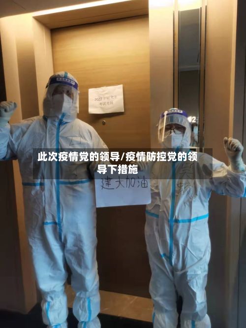 此次疫情党的领导/疫情防控党的领导下措施-第1张图片