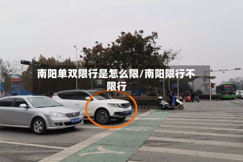 南阳单双限行是怎么限/南阳限行不限行-第1张图片