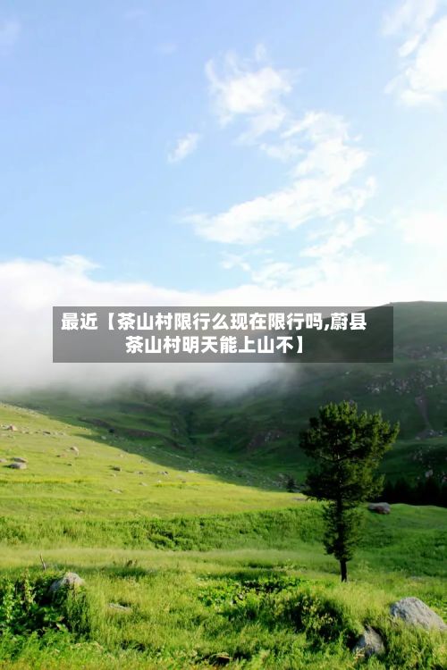 最近【茶山村限行么现在限行吗,蔚县茶山村明天能上山不】-第1张图片