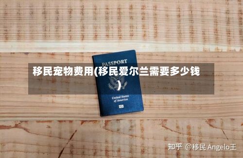 移民宠物费用(移民爱尔兰需要多少钱)-第1张图片