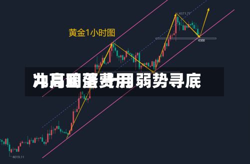 九月鸡蛋费用
冲高回落 十月弱势寻底-第1张图片