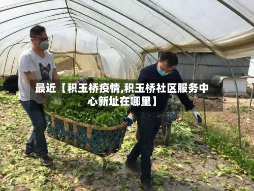 最近【积玉桥疫情,积玉桥社区服务中心新址在哪里】-第1张图片