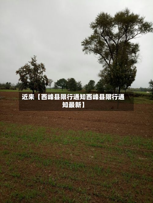 近来【西峰县限行通知西峰县限行通知最新】-第1张图片
