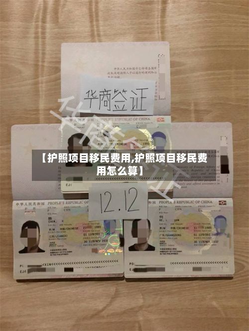 【护照项目移民费用,护照项目移民费用怎么算】-第1张图片