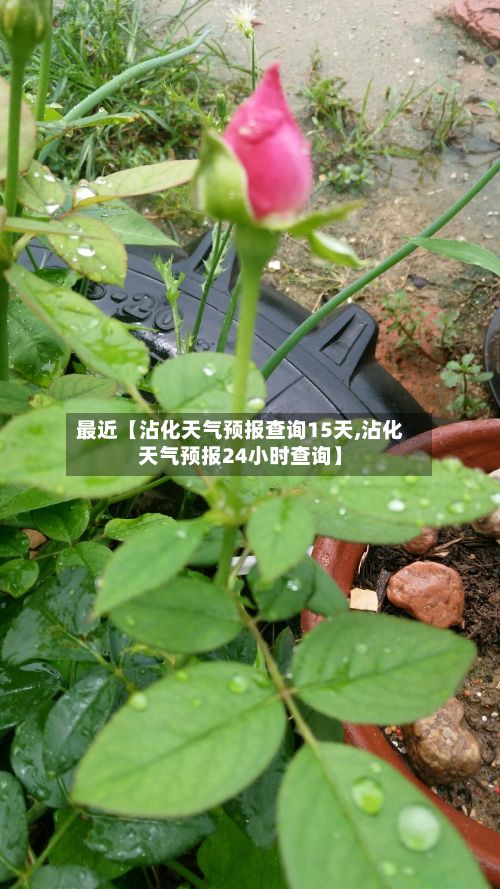 最近【沾化天气预报查询15天,沾化天气预报24小时查询】-第1张图片