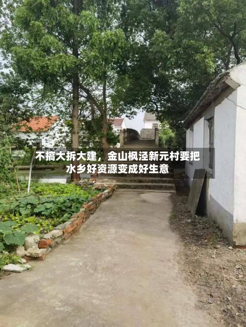 不搞大拆大建，金山枫泾新元村要把水乡好资源变成好生意-第1张图片