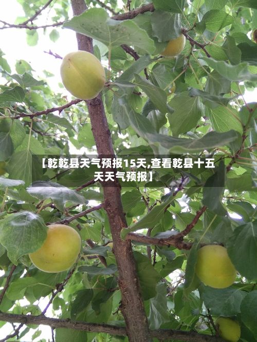 【乾乾县天气预报15天,查看乾县十五天天气预报】-第1张图片