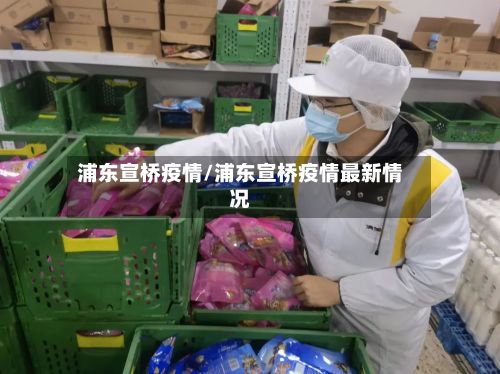 浦东宣桥疫情/浦东宣桥疫情最新情况-第1张图片
