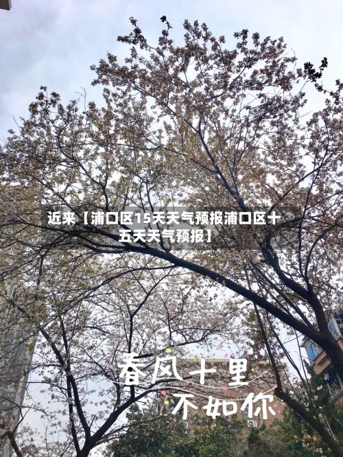 近来【浦口区15天天气预报浦口区十五天天气预报】-第1张图片