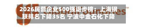 2026民营企业500强退步榜:上海钢联排名下降35名 宁波中金石化下降34名-第1张图片