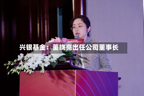 兴银基金:董晓亮出任公司董事长-第1张图片