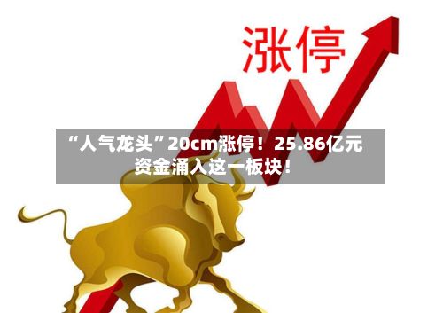 “人气龙头”20cm涨停！25.86亿元资金涌入这一板块！-第1张图片