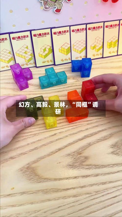 幻方、高毅	、景林，“同框	”调研-第1张图片