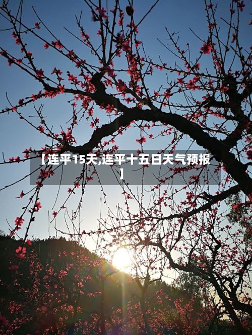 【连平15天,连平十五日天气预报】-第1张图片