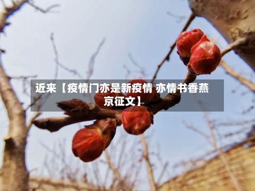 近来【疫情门亦是新疫情 亦情书香燕京征文】-第1张图片