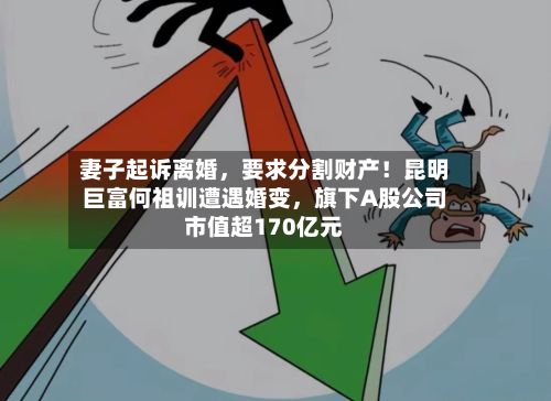 妻子起诉离婚	，要求分割财产！昆明巨富何祖训遭遇婚变，旗下A股公司市值超170亿元-第1张图片