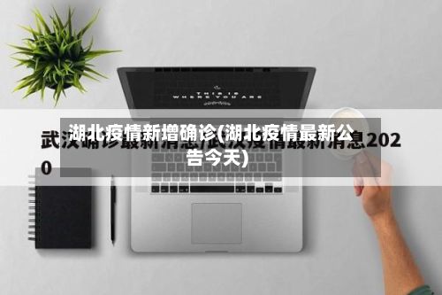 湖北疫情新增确诊(湖北疫情最新公告今天)-第1张图片
