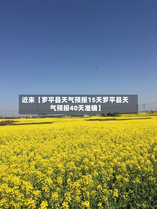 近来【罗平县天气预报15天罗平县天气预报40天准确】-第1张图片