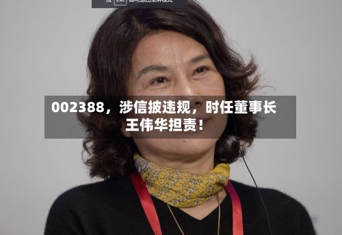 002388	，涉信披违规，时任董事长王伟华担责！-第1张图片
