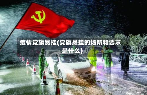 疫情党旗悬挂(党旗悬挂的场所和要求是什么)-第1张图片