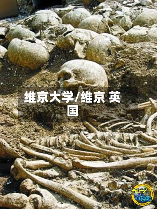 维京大学/维京 英国-第1张图片