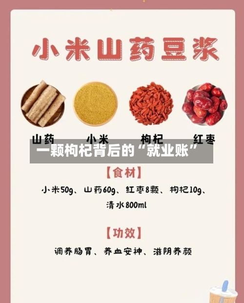 一颗枸杞背后的“就业账	”-第1张图片