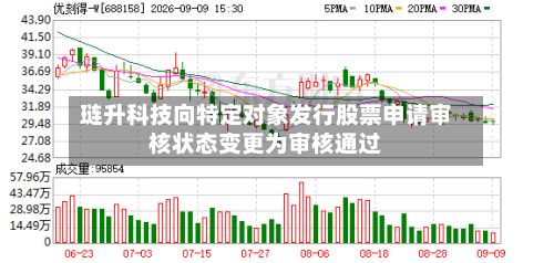 琏升科技向特定对象发行股票申请审核状态变更为审核通过-第1张图片