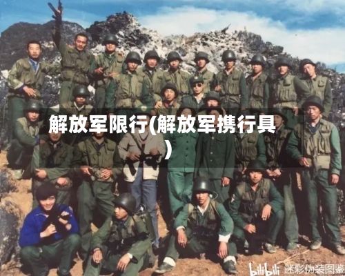 解放军限行(解放军携行具)-第1张图片