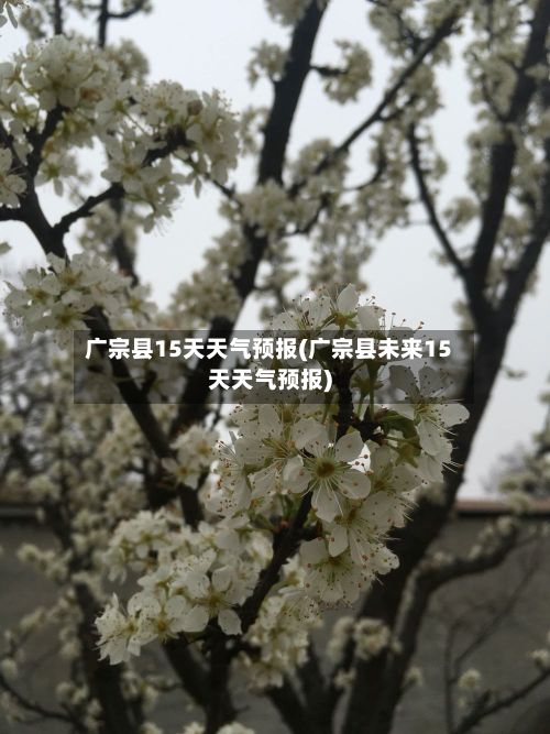 广宗县15天天气预报(广宗县未来15天天气预报)-第1张图片