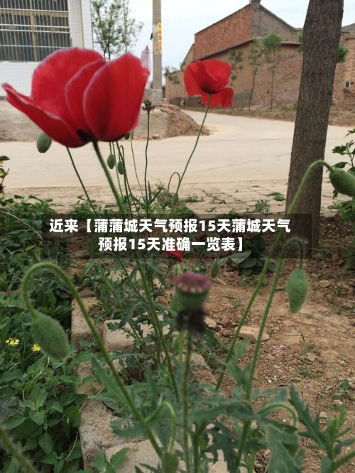 近来【蒲蒲城天气预报15天蒲城天气预报15天准确一览表】-第1张图片