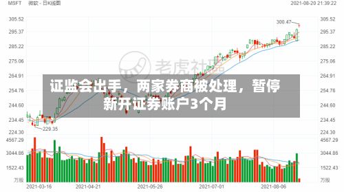 证监会出手，两家券商被处理	，暂停新开证券账户3个月-第1张图片