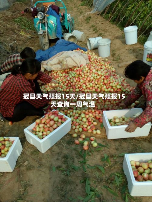 冠县天气预报15天/冠县天气预报15天查询一周气温-第1张图片