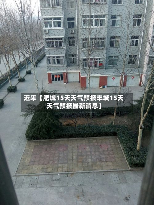 近来【肥城15天天气预报丰城15天天气预报最新消息】-第1张图片